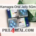 Kamagra Oral Jelly 5Gm viagra5